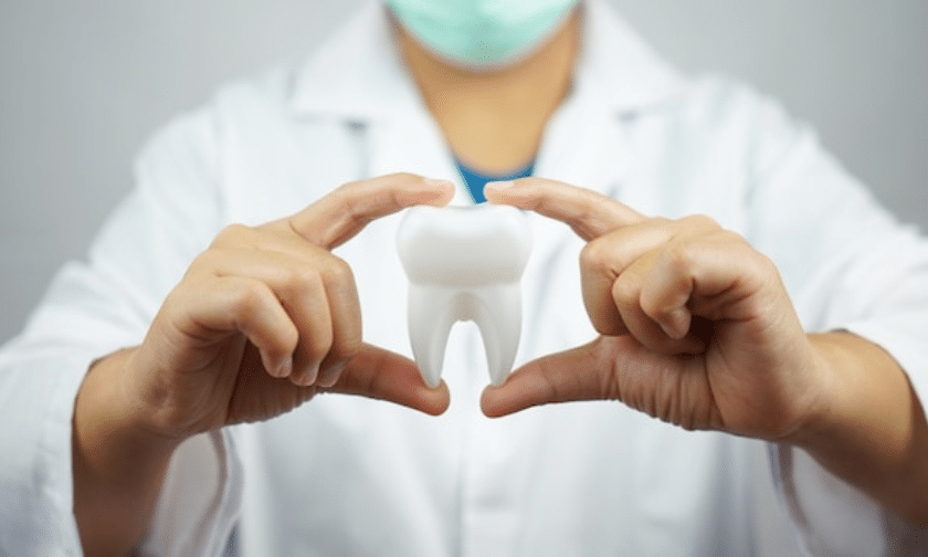Dentist Guide: Essential Tips For Optimal Oral Health