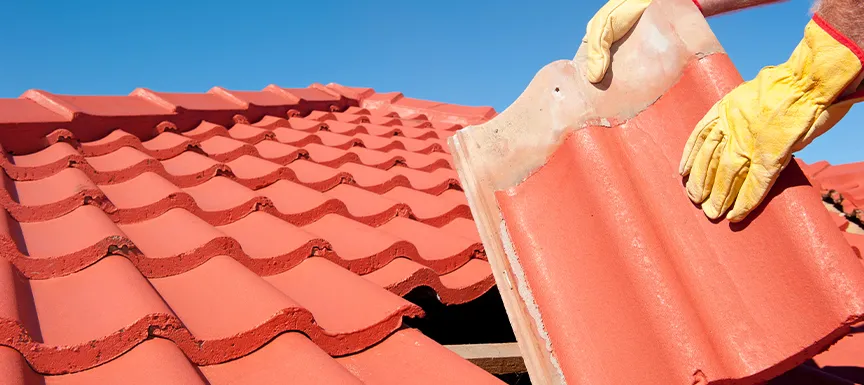 Discover The Best Roof Repair Solutions To Protect Your Home