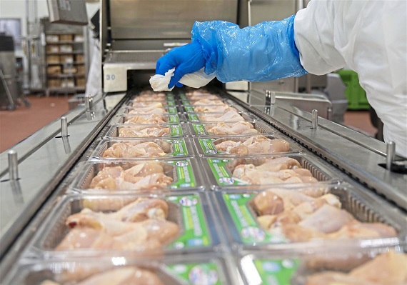 Top Tips For Exporting Frozen Chicken Parts