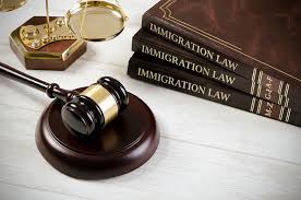 Ultimate Immigration Attorney Guide: Tips & Advice